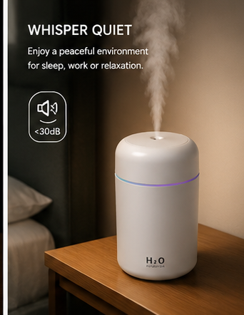 H2O Portable USB Mini Humidifier – Ultrasonic Cool Mist Air Purifier with LED Night Light.
